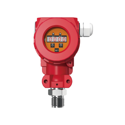 隔爆压力开关LN-APE